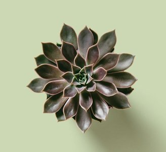 Insta Style 26 Post 6