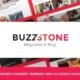 Buzz Stone | Magazine & Viral Blog WordPress Theme