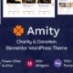 Amity - Charity & Donation Elementor WordPress Theme