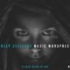 Lucille - Music WordPress Theme