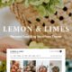 Lemon & Limes - Personal Food Blog WordPress Theme