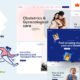 Salute - Dental GP Dermatology Gynecologist WordPress Theme
