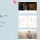 Monisa - Elegant & Clean Wedding WordPress Theme