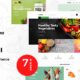 Broxi – Organic & Food WooCommerce WordPress Theme