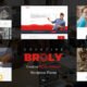 Broly - Creative Multi-Concept WordPress Theme