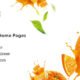 Ogami - Organic Store WordPress Theme