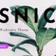 Osnic - Adsense WordPress Theme