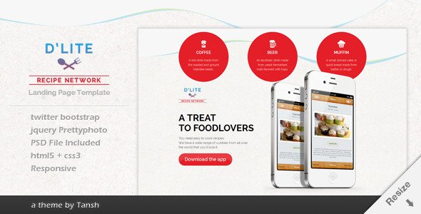 D'lite Responsive HTML Landing Page Template