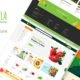 Akola - Organic & Food Store WordPress Theme