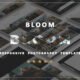 Bloom  - Responsive  Photography Portfolio Template