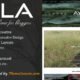 Ayla - Responsive WordPress Blog Theme