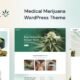 Canabik - Medical Marijuana WordPress Theme