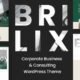 Brilix - Corporate Business & Consulting WordPress Theme