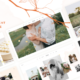 Castella - Wedding and Event Planner WordPress Theme