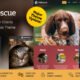 Pet Rescue - Animals and Shelter Charity WP Theme