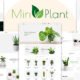 MinPlant - MultiPurpose Plant Store Shopify Theme