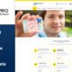 Drive Pro : Driving School HTML Template