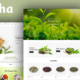 Moocha - Tea Shop & Organic Store Responsive Shopify Theme