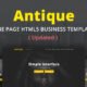Digital Agency - Antique One Page Digital Agency HTML5 Template