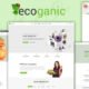 Ecoganic - An Organic Food Store Prestashop Theme