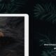 Katana - Photography & Portfolio WordPress Theme