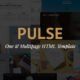 Pulse - Premier HTML Template