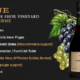 Diwine - Winery & Wine Shop, Vineyard WordPress Theme