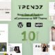 Trendz - Fashion Store WooCommerce Theme