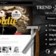 Trend Salon WordPress