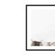 B&C - Portfolio & Agency minimal PSD Template