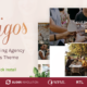 Amigos - Party & Celebration Event Agency