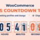 Sales Countdown Timer for WooCommerce and WordPress - Checkout Countdown