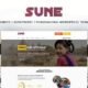SUNE -  Charity / Nonprofit / Fundraising WordPress Theme