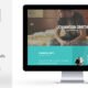 BOUNCE - Responsive One Page Vcard Template