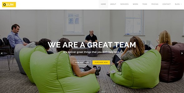 Osum - Onepage HTML Theme