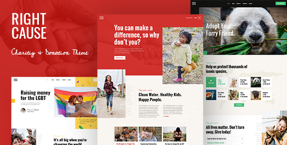 RightCause - Charity and Donation WordPress Theme