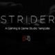 Strider - A Gaming and Game Studio Template (HTML)