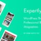 Expertly - WordPress Blog & Magazine Theme for Professionals