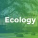 Ecology - Environment & Non-Profit
