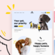 Pet Mania - Pet Shop WordPress Theme