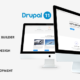 Mion - Responsive Business Service Drupal 11 Theme