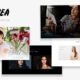 Dorothea - Creative Photography Portfolio & Studio Template