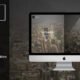 Hera - Creative Multipurpose WordPress Theme