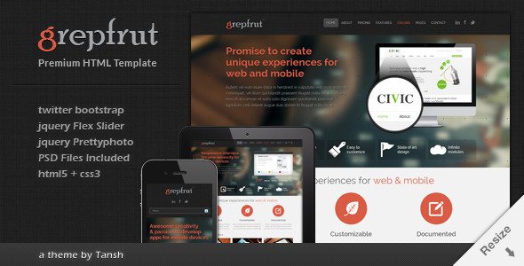 Grepfrut Responsive Software HTML Template