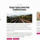 Meek WordPress Theme