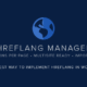 Hreflang Manager - Hreflang Plugin for WordPress