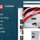 Politician - political party candidate modern WordPress theme