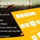 WP Logo Showcase Responsive Slider Pro