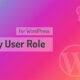 Pages by User Role for WordPress