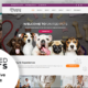 United Pets - Responsive HTML5 Template
